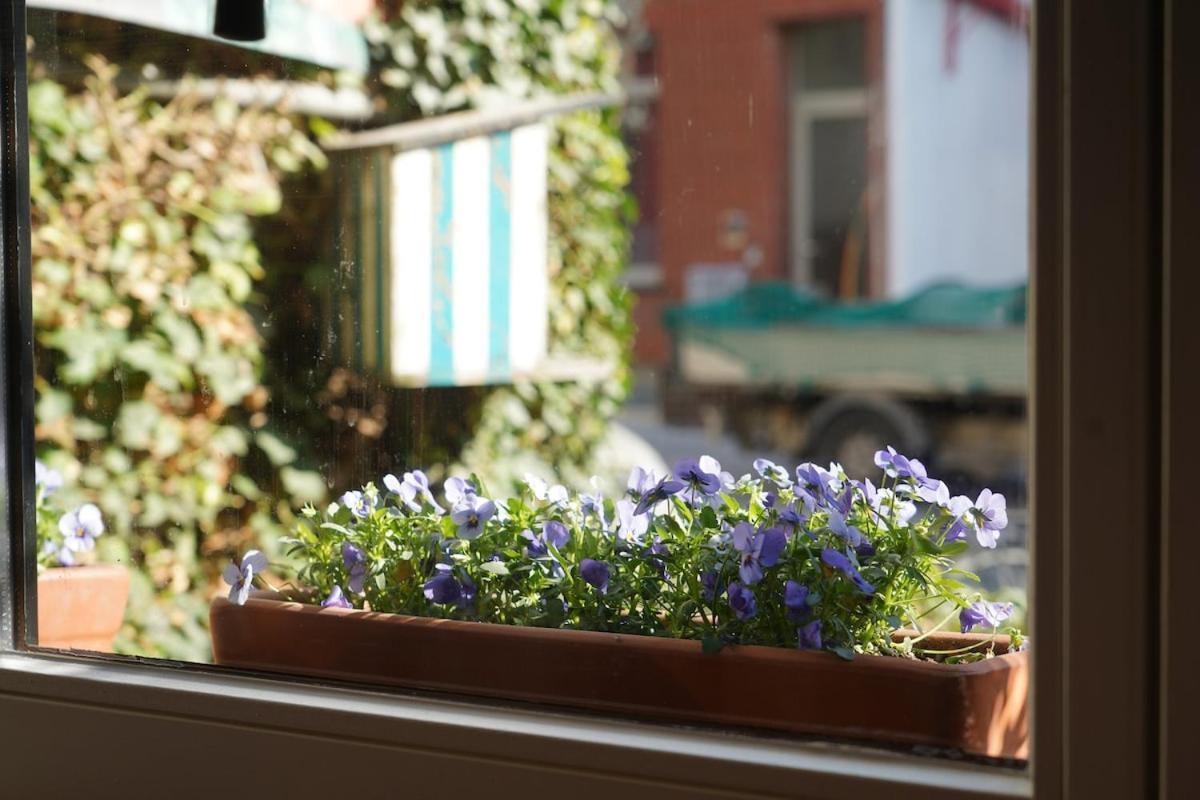 Renovated Appt In 20min From Bruges Apartment *